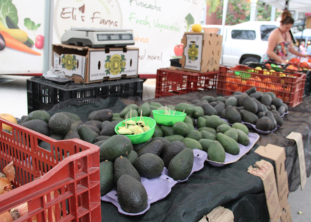 Eli’s Farm specializes in avocados. Photo credit: Rebeka Nop