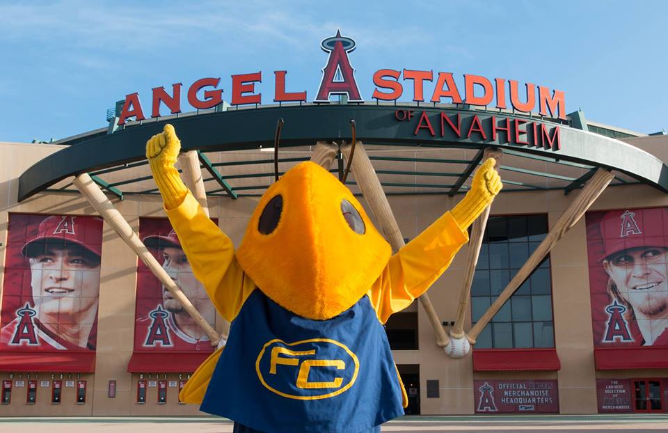 Buzzy poses and shows excitement for FC Night in front of the Angel Stadium of Anaheim. Photo credit: Fullerton College Facebook Page