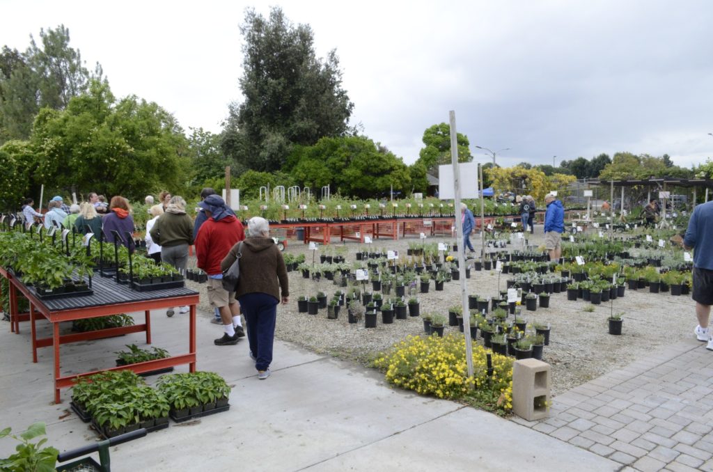 Locals gather for the FC Horticulture 2017 Spring Plant Sale on Saturday, May 6. Photo credit: Brian Carrillo