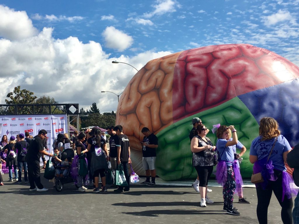 This blow-up brain represents the different parts of the brain and is the perfect symbol for brain-care at Sundays End Epilepsy walk. Photo credit: Lann Nguyen