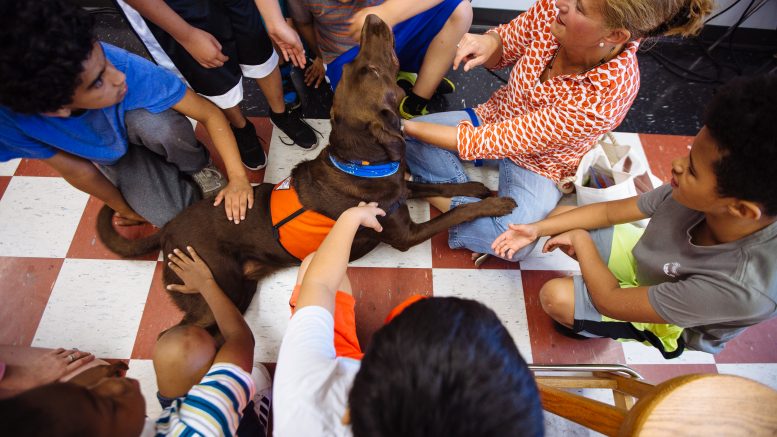 Young students playing and spending time with therapy dog. Photo credit: scoutsomerville.com