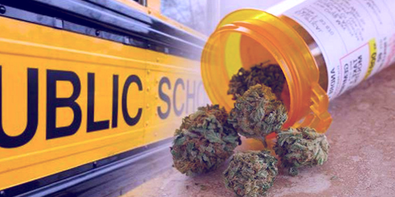 Opinion: Parents giving medicinal marijuana to their kids in school