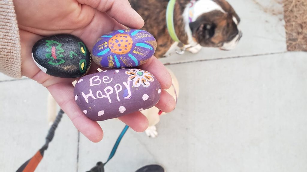 Rocks found by a group member before being re-hid in the community Photo credit: Rockin Round Fullerton Facebook Page