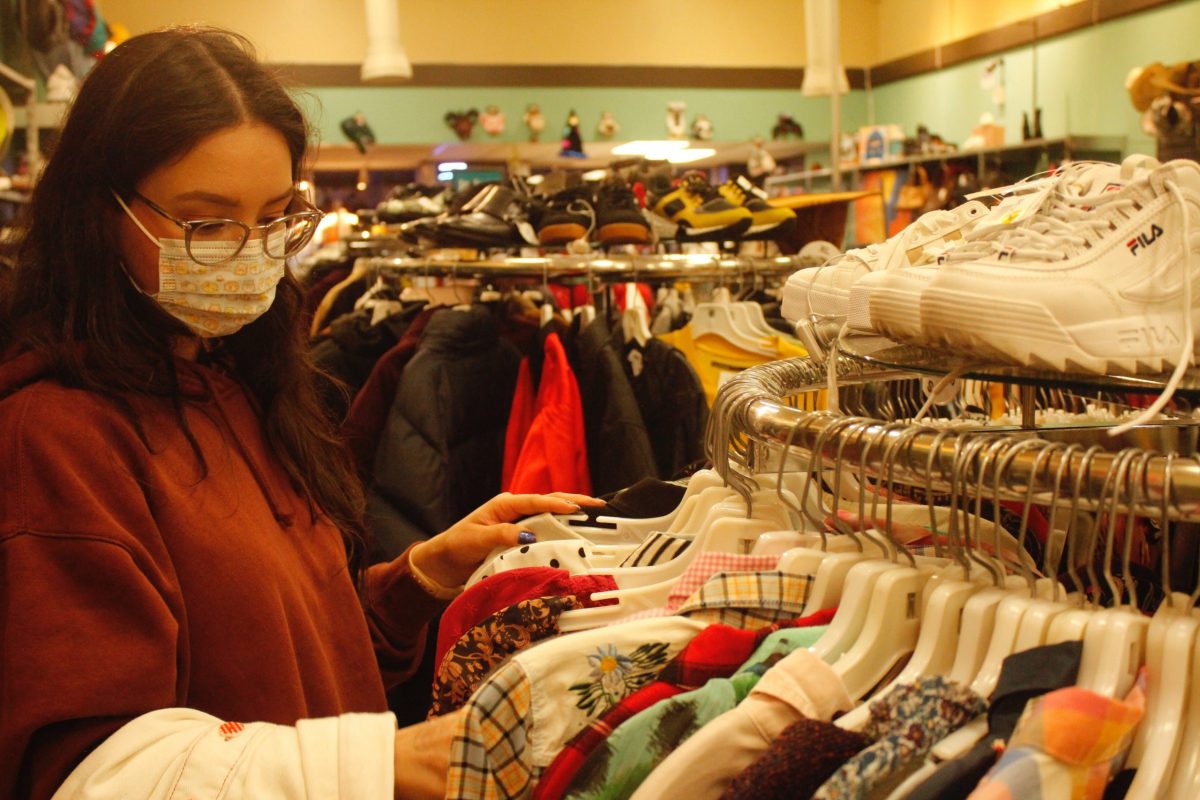 Environmental disruption caused by todays fast fashion companies