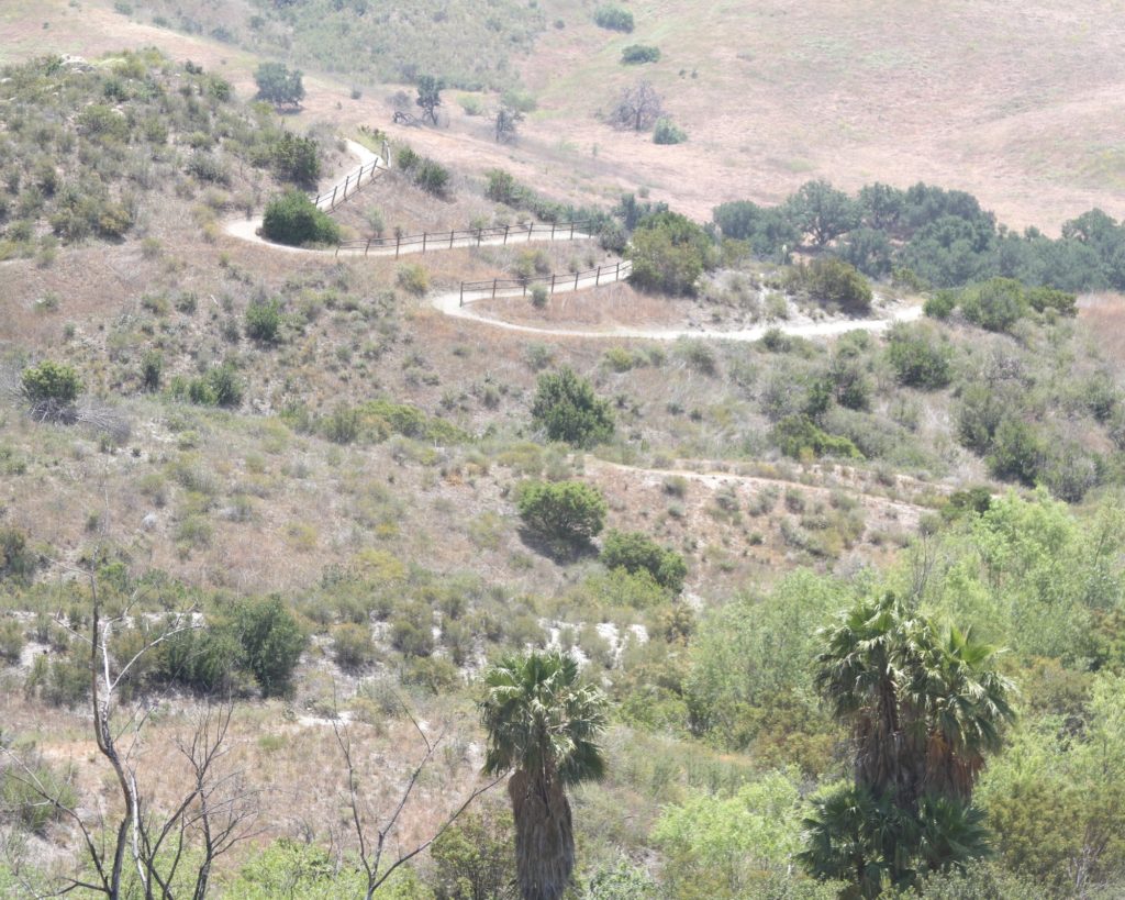 Easterly view of switchback part of Weir Canyon Trail. This bending path can be challenging on foot or bike. Photo credit: Gerardo Chagolla