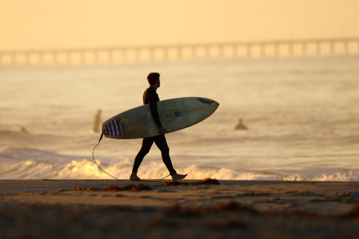 Surfers flock to Newport Beach at the break of dawn to catch a wave before the day starts. 