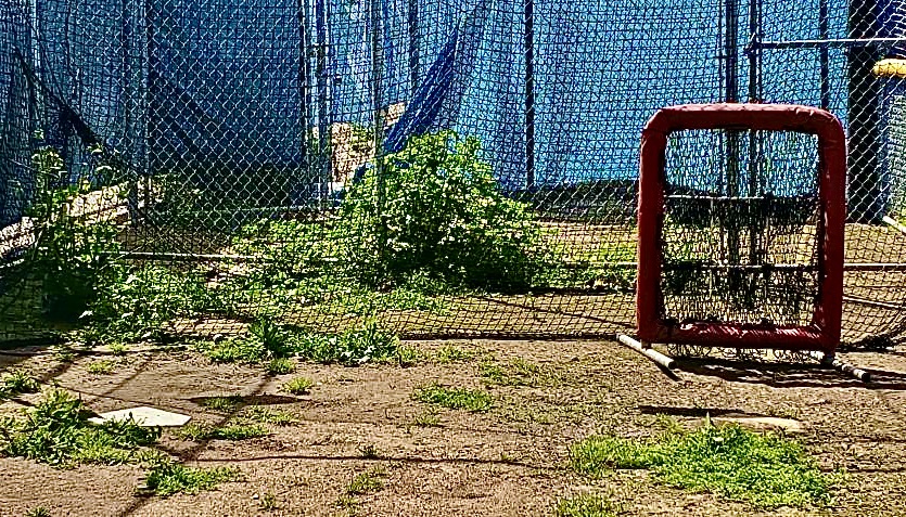 The bullpen at Fullerton College's women's softball field in need of much attention which creates a safety hazard for the players involved.
