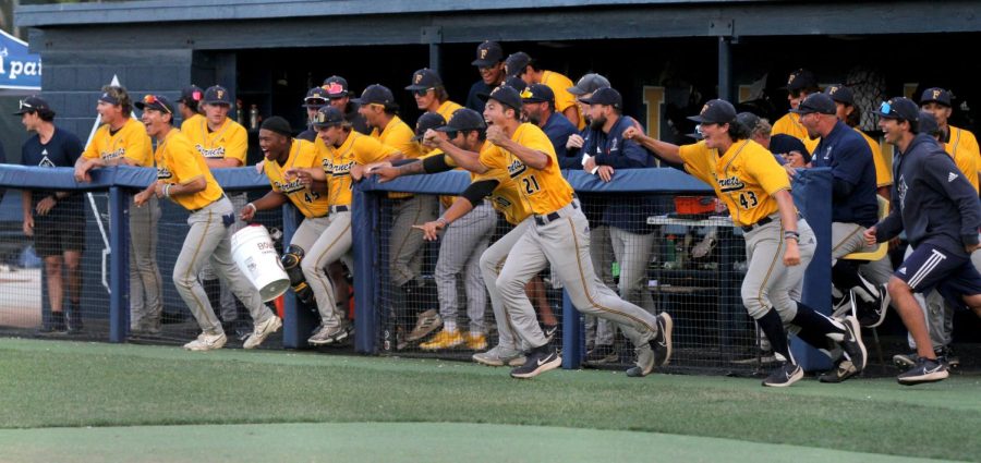 Fullerton+dugout+celebrates+their+win+as+they+run+to+Michael+Curatolo+after+he+records+the+final+out+for+the+Hornets%2C+getting+the+job+done.+Photo+credit%3A+Yasmin+Sotelo