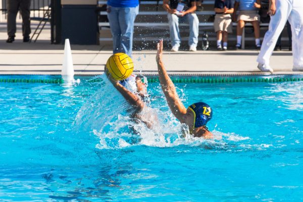 Anaheim High School Aquatics looks to set the standard for future  generations – The Hornet