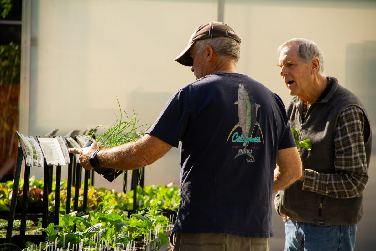 This year's biannual plant sales will have hard-to-find products like narrowleaf milkweed and yarrow, both California native plants.