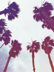 How to Relive 2014 L.A. Girl Summer, 10 Years Later