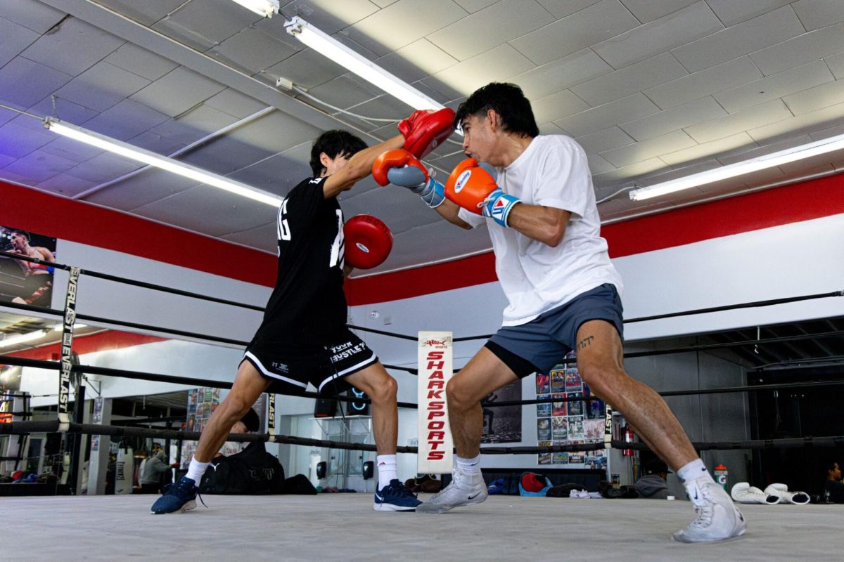 Professional Boxer Justin Viloria (right) dodges a swing and looks to counterpunch, Saturday, Oct 17, 2025, at Shark Sports Boxing Gym in Whittier, California. 